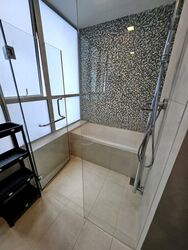 The Rochester Residences (D5), Apartment #604420441